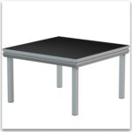 PRATICABLE 1M/1 Podium